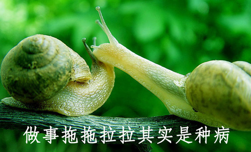 拒絕拖延從今天開始，明天會(huì)更好(圖4)