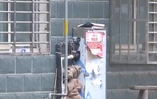 自來水管道保溫電伴熱帶，冬季管道防凍新寵(圖2)